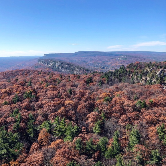 Meet your Posher, Hannah - Picture 3 of 3